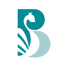 Bagnity logo