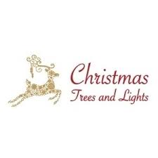 Christmas Trees And Lights